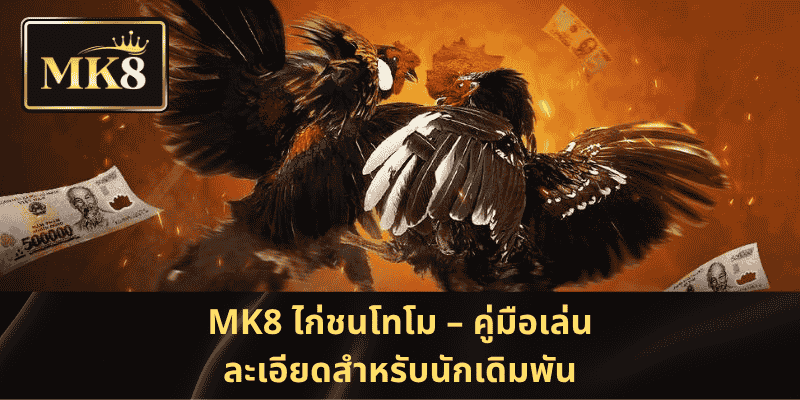 MK8 ไก่ชนโทโม – คู่มือเล่นละเอียดสำหรับนักเดิมพัน